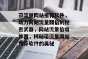 带流量网站推荐软件，助力网站流量翻倍的秘密武器，网站流量倍增神器，揭秘带流量网站推荐软件的奥秘