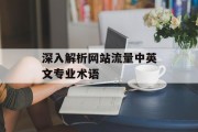 深入解析网站流量中英文专业术语 深入解析网站流量中英文专业术语