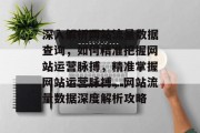 深入解析网站流量数据查询，如何精准把握网站运营脉搏，精准掌握网站运营脉搏，网站流量数据深度解析攻略