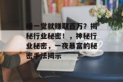 睡一觉就赚取百万?揭秘行业秘密!,神秘行业秘密,一夜暴富的秘密手法揭示 睡一觉就赚取百万?揭秘行业秘密!,神秘行业秘密,一夜暴富的秘密手法揭示