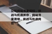 公司网站流量超标，挑战与机遇并存，网站流量激增，挑战与机遇同在