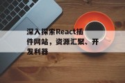 深入探索React插件网站，资源汇聚、开发利器