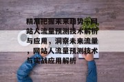 精准把握未来趋势—网站人流量预测技术解析与应用，洞察未来流量，网站人流量预测技术与实战应用解析