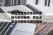 网站流量波动背后的原因与应对策略，网站流量波动解析与调控策略