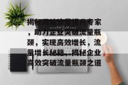 揭秘网站流量提升专家，助力企业突破流量瓶颈，实现高效增长，流量增长秘籍，揭秘企业高效突破流量瓶颈之道
