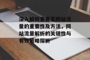 深入解析查看某网站流量的重要性及方法，网站流量解析的关键性与有效策略探析