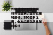 如何通过SEO优化网站实现盈利，全方位策略解析，SEO盈利之道，全方位网站优化策略解析