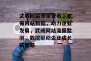 武威网站流量查看，掌握网站数据，助力企业发展，武威网站流量监测，数据驱动企业成长新策略