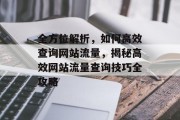 全方位解析，如何高效查询网站流量，揭秘高效网站流量查询技巧全攻略