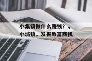 小集镇做什么赚钱?,小城镇,发掘致富商机 小集镇做什么赚钱?,小城镇,发掘致富商机
