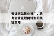 天津网站优化推广,助力企业互联网转型的关键策略 天津网站优化推广,助力企业互联网转型的关键策略