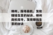 柳州，探寻商机，发现赚钱生意的秘诀，柳州商机探寻，发现赚钱生意的秘诀