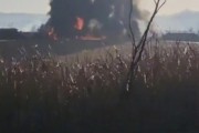 韩国起火客机疑似撞鸟 现场曝光 韩国起火客机疑似撞鸟 现场曝光