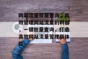网站流量批量查询，高效管理网站流量的利器，一键批量查询，打造高效网站流量管理新体验