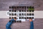 新网站如何通过策略提升流量，全方位流量增长指南，全方位流量增长攻略，新网站策略提升流量秘籍