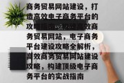 商务贸易网站建设，打造高效电子商务平台的攻略指南，构建高效商务贸易网站，电子商务平台建设攻略全解析，高效商务贸易网站建设攻略，构建顶级电子商务平台的实战指南