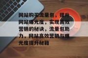 网站购买流量包，提升网站曝光度，实现高效营销的秘诀，流量包助力，网站高效营销与曝光度提升秘籍