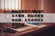 网站流量转化为金钱的五大策略，网站流量变现秘籍，五大高效转化策略揭秘