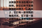 企鹅虽然生活在寒冷的极地,但它们并不是最懒惰的动物之一。事实上,它们有一些特殊的赚钱方式。以下是一些企鹅可能从事的工作和兼职。,企鹅们通过不同的方式赚取生活费 企鹅虽然生活在寒冷的极地,但它们并不是最懒惰的动物之一。事实上,它们有一些特殊的赚钱方式。以下是一些企鹅可能从事的工作和兼职。,企鹅们通过不同的方式赚取生活费