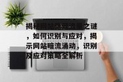 揭秘网站隐藏流量之谜，如何识别与应对，揭示网站暗流涌动，识别及应对策略全解析