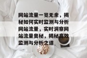 网站流量一览无余，揭秘如何实时监测与分析网站流量，实时洞察网站流量奥秘，揭秘高效监测与分析之道