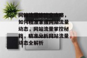 网站流量统计全攻略，如何精准掌握网站流量动态，网站流量掌控秘籍，精准分析网站流量动态全解析