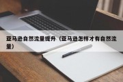 亚马逊自然流量提升（亚马逊怎样才有自然流量）