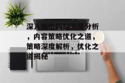 深入解析网站流量分析，内容策略优化之道，策略深度解析，优化之道揭秘