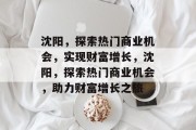 沈阳,探索热门商业机会,实现财富增长,沈阳,探索热门商业机会,助力财富增长之旅