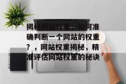 揭秘网站权重，如何准确判断一个网站的权重？，网站权重揭秘，精准评估网站权重的秘诀