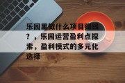乐园里做什么项目赚钱?,乐园运营盈利点探索,盈利模式的多元化选择 乐园里做什么项目赚钱?,乐园运营盈利点探索,盈利模式的多元化选择