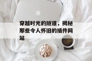 穿越时光的隧道,揭秘那些令人怀旧的插件网站 穿越时光的隧道,揭秘那些令人怀旧的插件网站