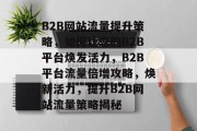 B2B网站流量提升策略，如何让您的B2B平台焕发活力，B2B平台流量倍增攻略，焕新活力，提升B2B网站流量策略揭秘