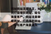 揭秘网站流量之王，如何打造爆款网站，吸引海量用户，网站流量巅峰揭秘，打造爆款网站，吸引用户海量涌入