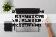 深入解析网站流量查看，提升网站运营效率的关键，网站流量解析，优化运营效率的利器