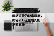 SEO网站流量，揭秘网站流量的秘密武器，揭秘SEO流量增长的秘密武器