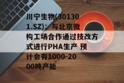 川宁生物(301301.SZ):与北京微构工场合作通过技改方式进行PHA生产 预计会有1000-2000吨产能 川宁生物(301301.SZ):与北京微构工场合作通过技改方式进行PHA生产 预计会有1000-2000吨产能