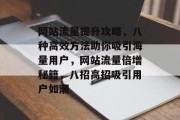 网站流量提升攻略，八种高效方法助你吸引海量用户，网站流量倍增秘籍，八招高招吸引用户如潮
