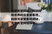 流量天堂网站，揭秘网络世界的流量聚集地，网络流量聚集地揭秘，流量天堂网站探秘