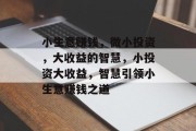 小生意赚钱,微小投资,大收益的智慧,小投资大收益,智慧引领小生意赚钱之道 小生意赚钱,微小投资,大收益的智慧,小投资大收益,智慧引领小生意赚钱之道