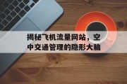 揭秘飞机流量网站,空中交通管理的隐形大脑 揭秘飞机流量网站,空中交通管理的隐形大脑