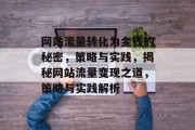 网站流量转化为金钱的秘密，策略与实践，揭秘网站流量变现之道，策略与实践解析