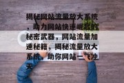 揭秘网站流量放大系统，助力网站快速崛起的秘密武器，网站流量加速秘籍，揭秘流量放大系统，助你网站一飞冲天