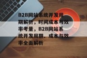 B2B网站系统开发周期解析，时间成本与效率考量，B2B网站系统开发周期、成本与效率全面解析