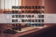 揭秘国内网站流量查询系统，助力网站优化与运营的得力助手，深度解析，国内网站流量查询系统，网站优化与运营利器