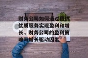 财务公司如何通过提供优质服务实现盈利和增长,财务公司的盈利策略与增长驱动因素 财务公司如何通过提供优质服务实现盈利和增长,财务公司的盈利策略与增长驱动因素