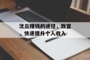 沈丘赚钱的途径,致富,快速提升个人收入 沈丘赚钱的途径,致富,快速提升个人收入