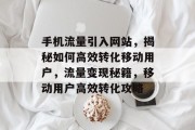 手机流量引入网站，揭秘如何高效转化移动用户，流量变现秘籍，移动用户高效转化攻略