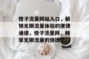 橙子流量网站入口，解锁无限流量体验的便捷通道，橙子流量网，畅享无限流量的快捷之门