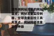 国外测网站流量的网站盘点，揭秘流量监控利器，全球流量监控工具大盘点，揭秘网络流量监测神器